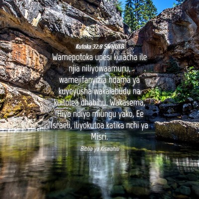 Picture 04 - Kutoka 32:8 SWHULB - Wamepotoka upesi kuiacha ile njia niliyowaamuru, - Bible Verse Picture