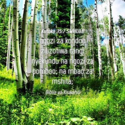 Picture 04 - Kutoka 35:7 SWHULB - ngozi za kondoo zilizotiwa rangi nyekundu na - Bible Verse Picture