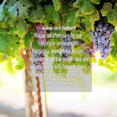 Picture 04 - Kutoka 38:9 SWHULB - Naye akafanya ule ua. Upande unaokabili Negebu, - Bible Verse Picture