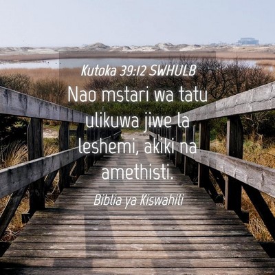 Picture 04 - Kutoka 39:12 SWHULB - Nao mstari wa tatu ulikuwa jiwe la leshemi, akiki - Bible Verse Picture
