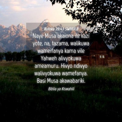 Picture 04 - Kutoka 39:43 SWHULB - Naye Musa akaiona ile kazi yote, na, tazama, - Bible Verse Picture