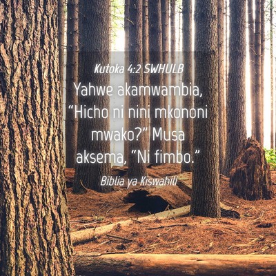 Picture 04 - Kutoka 4:2 SWHULB - Yahwe akamwambia, “Hicho ni nini mkononi - Bible Verse Picture