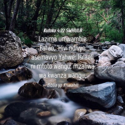 Picture 04 - Kutoka 4:22 SWHULB - Lazima umwambie Farao, 'Hivi ndivyo asemavyo - Bible Verse Picture