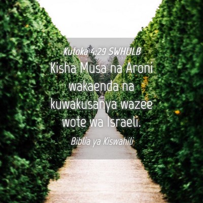 Picture 04 - Kutoka 4:29 SWHULB - Kisha Musa na Aroni wakaenda na kuwakusanya wazee - Bible Verse Picture
