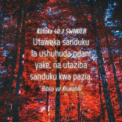 Picture 04 - Kutoka 40:3 SWHULB - Utaweka sanduku la ushuhuda ndani yake, na - Bible Verse Picture