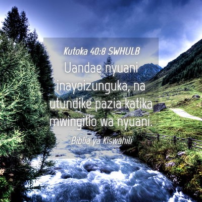 Picture 04 - Kutoka 40:8 SWHULB - Uandae nyuani inayoizunguka, na utundike pazia - Bible Verse Picture