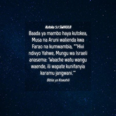 Picture 04 - Kutoka 5:1 SWHULB - Baada ya mambo haya kutokea, Musa na Aruni - Bible Verse Picture