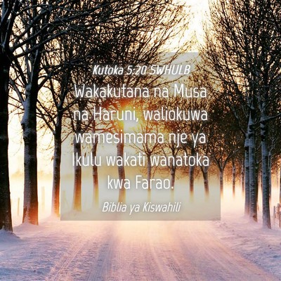 Picture 04 - Kutoka 5:20 SWHULB - Wakakutana na Musa na Haruni, waliokuwa - Bible Verse Picture