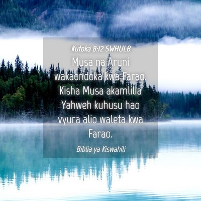 Picture 04 - Kutoka 8:12 SWHULB - Musa na Aruni wakaondoka kwa Farao. Kisha Musa - Bible Verse Picture