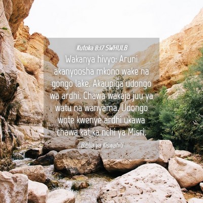 Picture 04 - Kutoka 8:17 SWHULB - Wakanya hivyo: Aruni akanyoosha mkono wake na - Bible Verse Picture
