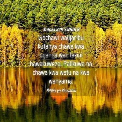 Picture 04 - Kutoka 8:18 SWHULB - Wachawi walijaribu kufanya chawa kwa uganga wao - Bible Verse Picture