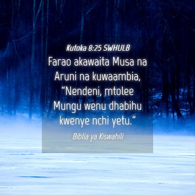 Picture 04 - Kutoka 8:25 SWHULB - Farao akawaita Musa na Aruni na kuwaambia, - Bible Verse Picture