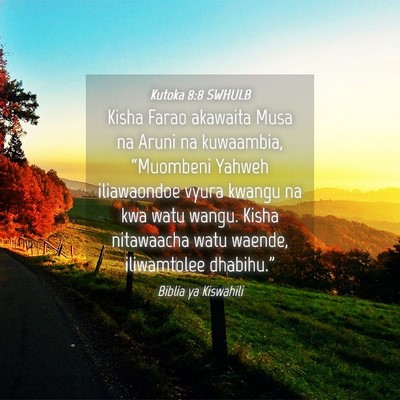 Picture 04 - Kutoka 8:8 SWHULB - Kisha Farao akawaita Musa na Aruni na kuwaambia, - Bible Verse Picture