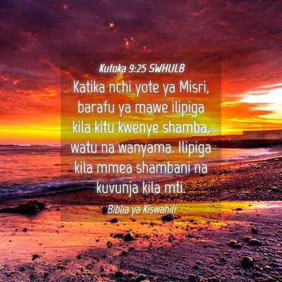 Picture 04 - Kutoka 9:25 SWHULB - Katika nchi yote ya Misri, barafu ya mawe ilipiga - Bible Verse Picture