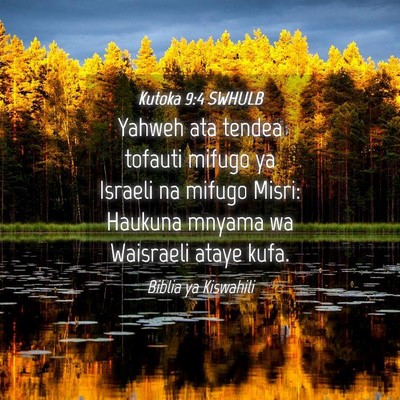Picture 04 - Kutoka 9:4 SWHULB - Yahweh ata tendea tofauti mifugo ya Israeli na - Bible Verse Picture