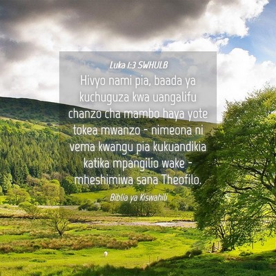 Picture 04 - Luka 1:3 SWHULB - Hivyo nami pia, baada ya kuchuguza kwa uangalifu - Bible Verse Picture