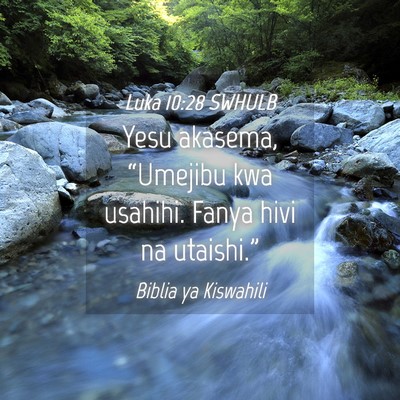 Picture 04 - Luka 10:28 SWHULB - Yesu akasema, “Umejibu kwa usahihi. Fanya hivi - Bible Verse Picture