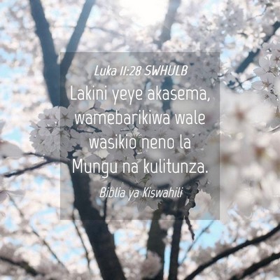 Picture 04 - Luka 11:28 SWHULB - Lakini yeye akasema, wamebarikiwa wale wasikio - Bible Verse Picture