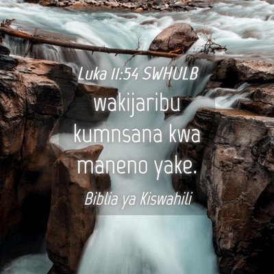 Picture 04 - Luka 11:54 SWHULB - wakijaribu kumnsana kwa maneno - Bible Verse Picture