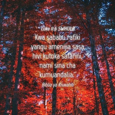Picture 04 - Luka 11:6 SWHULB - Kwa sababu rafiki yangu amenijia sasa hivi kutoka - Bible Verse Picture
