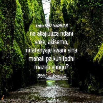 Picture 04 - Luka 12:17 SWHULB - na akajiuliza ndani yake, akisema, nitafanyaje - Bible Verse Picture
