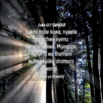Picture 04 - Luka 12:7 SWHULB - Lakini mjue kuwa, nywele za vichwa vyenu - Bible Verse Picture