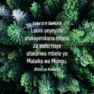 Picture 04 - Luka 12:9 SWHULB - Lakini yeyeyote atakayenikana mbele za watu naye - Bible Verse Picture