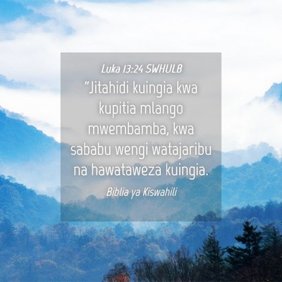 Picture 04 - Luka 13:24 SWHULB - “Jitahidi kuingia kwa kupitia mlango mwembamba, - Bible Verse Picture