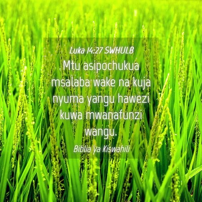 Picture 04 - Luka 14:27 SWHULB - Mtu asipochukua msalaba wake na kuja nyuma yangu - Bible Verse Picture