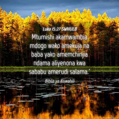 Picture 04 - Luka 15:27 SWHULB - Mtumishi akamwambia mdogo wako amekuja na baba - Bible Verse Picture