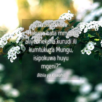 Picture 04 - Luka 17:18 SWHULB - Hakuna hata mmoja aliyeonekana kurudi ili - Bible Verse Picture