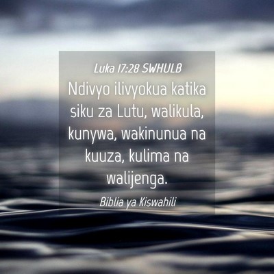 Picture 04 - Luka 17:28 SWHULB - Ndivyo ilivyokua katika siku za Lutu, walikula, - Bible Verse Picture