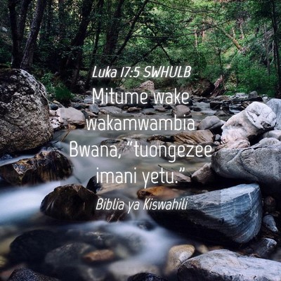 Picture 04 - Luka 17:5 SWHULB - Mitume wake wakamwambia Bwana, “tuongezee imani - Bible Verse Picture