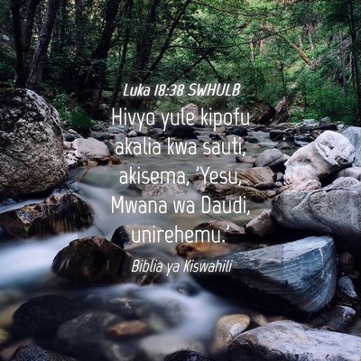 Picture 04 - Luka 18:38 SWHULB - Hivyo yule kipofu akalia kwa sauti, akisema, - Bible Verse Picture