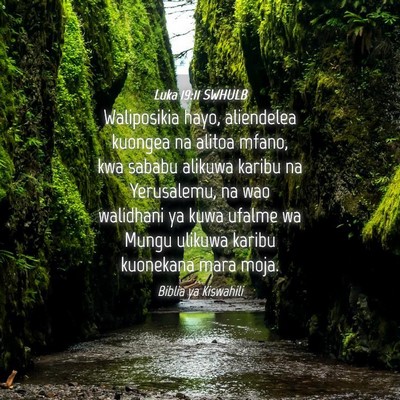 Picture 04 - Luka 19:11 SWHULB - Waliposikia hayo, aliendelea kuongea na alitoa - Bible Verse Picture