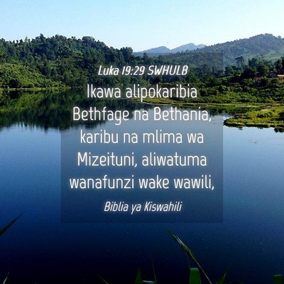 Picture 04 - Luka 19:29 SWHULB - Ikawa alipokaribia Bethfage na Bethania, karibu - Bible Verse Picture