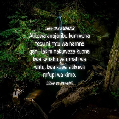 Picture 04 - Luka 19:3 SWHULB - Alikuwa anajaribu kumwona Yesu ni mtu wa namna - Bible Verse Picture
