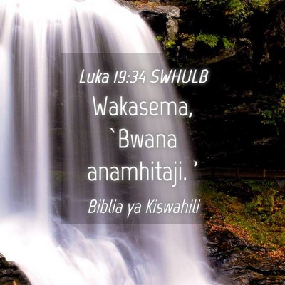 Picture 04 - Luka 19:34 SWHULB - Wakasema, `Bwana anamhitaji. - Bible Verse Picture