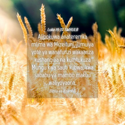 Picture 04 - Luka 19:37 SWHULB - Alipokuwa anateremka mlima wa Mizeituni, jumuiya - Bible Verse Picture