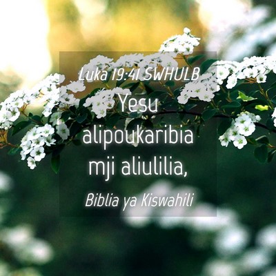 Picture 04 - Luka 19:41 SWHULB - Yesu alipoukaribia mji - Bible Verse Picture