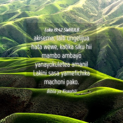 Picture 04 - Luka 19:42 SWHULB - akisema, laiti ungelijua hata wewe, katika siku - Bible Verse Picture