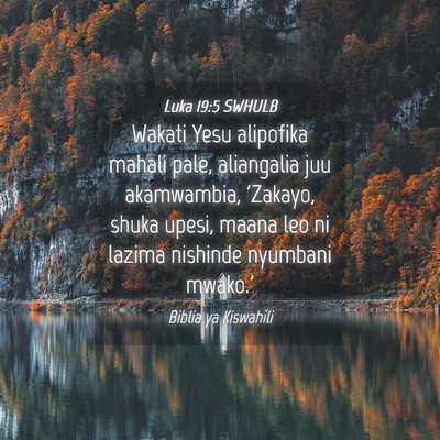 Picture 04 - Luka 19:5 SWHULB - Wakati Yesu alipofika mahali pale, aliangalia juu - Bible Verse Picture