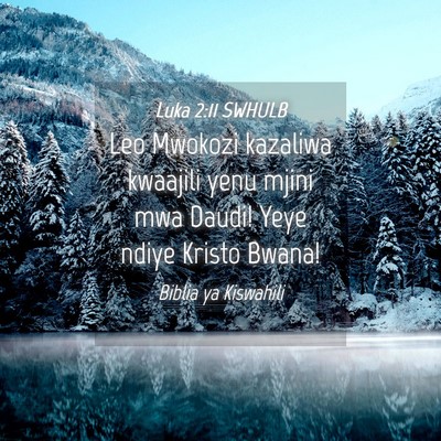 Picture 04 - Luka 2:11 SWHULB - Leo Mwokozi kazaliwa kwaajili yenu mjini mwa - Bible Verse Picture