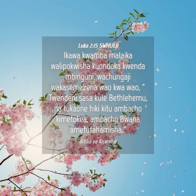 Picture 04 - Luka 2:15 SWHULB - Ikawa kwamba malaika walipokwisha kuondoka kwenda - Bible Verse Picture