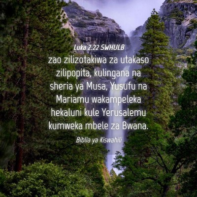 Picture 04 - Luka 2:22 SWHULB - zao zilizotakiwa za utakaso zilipopita, kulingana - Bible Verse Picture