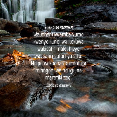 Picture 04 - Luka 2:44 SWHULB - Walidhani kwamba yumo kwenye kundi walilokuwa - Bible Verse Picture