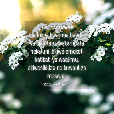 Picture 04 - Luka 2:46 SWHULB - Ikatokea kwamba baada ya siku tatu, wakampata - Bible Verse Picture