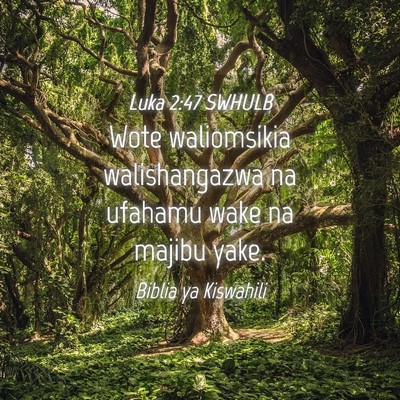Picture 04 - Luka 2:47 SWHULB - Wote waliomsikia walishangazwa na ufahamu wake na - Bible Verse Picture