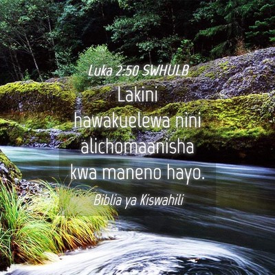 Picture 04 - Luka 2:50 SWHULB - Lakini hawakuelewa nini alichomaanisha kwa maneno - Bible Verse Picture