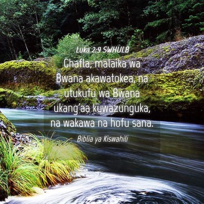 Picture 04 - Luka 2:9 SWHULB - Ghafla, malaika wa Bwana akawatokea, na utukufu - Bible Verse Picture
